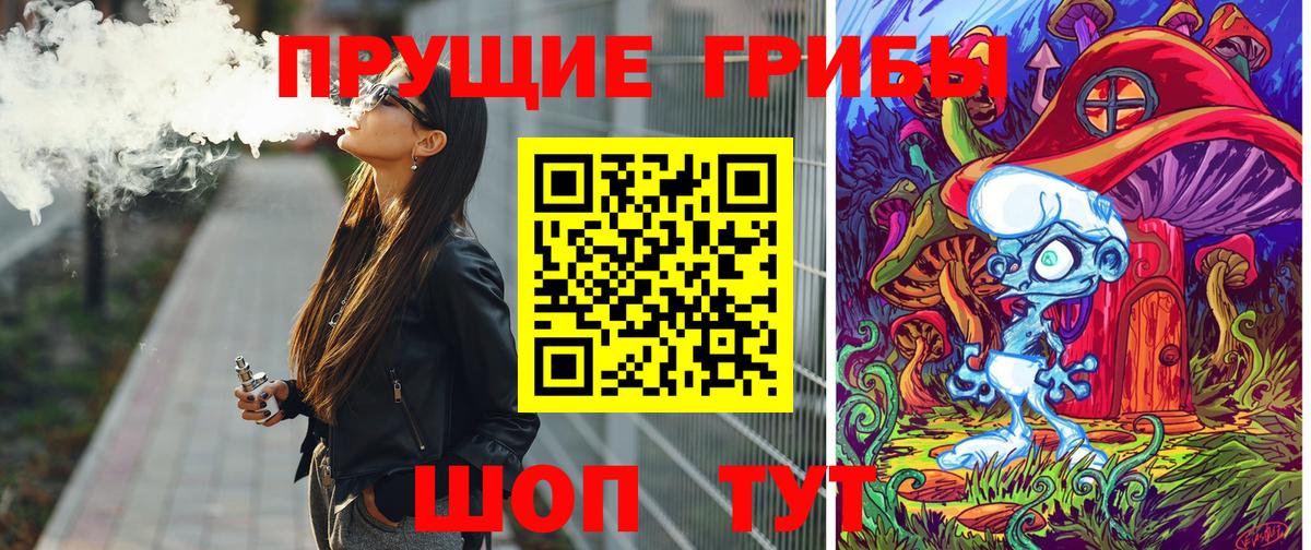Жуковский  Псилоцибиновые грибы Psilocybe  Вход с VPN  Псилоцибиновые грибы прущие грибы 