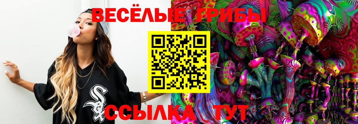 Галлюциногенные грибы мицелий Жуковский
